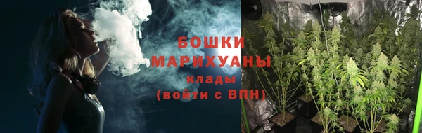 шишки Бронницы