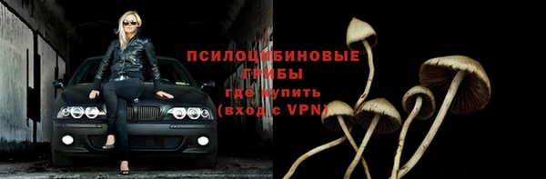 шишки Бронницы
