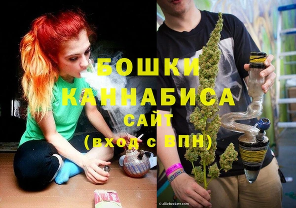 шишки Бронницы