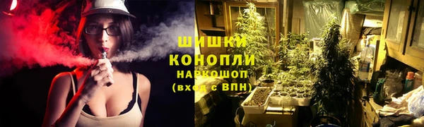 шишки Бронницы