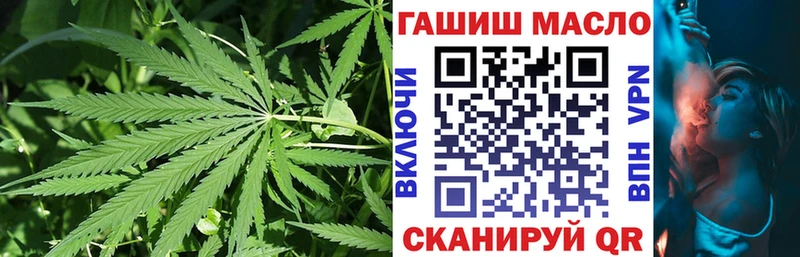 Купить закладки  Себеж  Дистиллят ТГК Wax 
