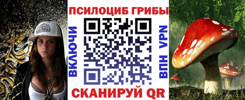 Купить закладки  Себеж  Галлюциногенные грибы MAGIC MUSHROOMS 