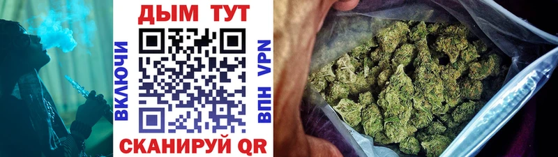Купить  Себеж  МАРИХУАНА ГИДРОПОН 